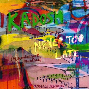 Kadosh (IL) feat. Moodintrigo, Melödisch - Never Too Late [MBR474]