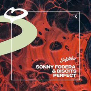 Sonny Fodera, Biscits - Perfect (Extended Mix) [190296247705]