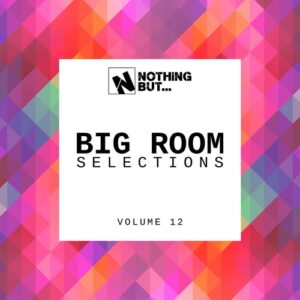 VA - Nothing But... Big Room Selections, Vol. 12 [NBBRS12]