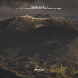 VA - Three of a Kind #10 [3AV292]