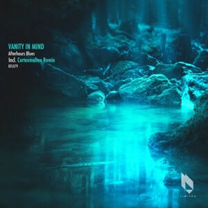 Vanity In Mind, Ulf Daneklev - Afterhours Blues [BFL079]