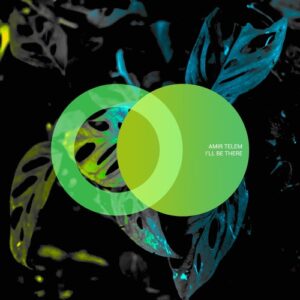 Amir Telem - I'll Be There [AVE125]