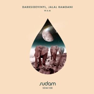 Darksidevinyl, Jalal Ramdani - Wam [SDM108]