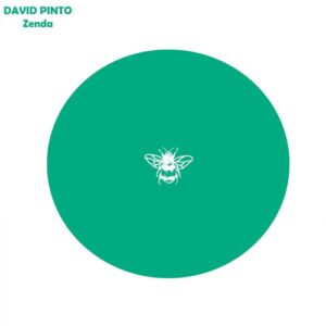 David Pinto - Zenda [NSS102]