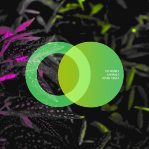 Dr Honey - Animals [AVE127]