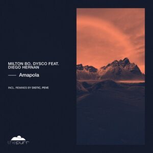 Dysco, Diego Hernan, Milton Bo - Amapola [PURR322]