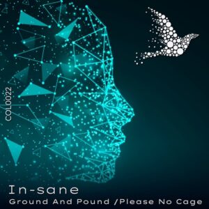 IN-sane - Ground And Pound [COL0022]