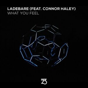 Ladebare - What You Feel [ZT21401Z]