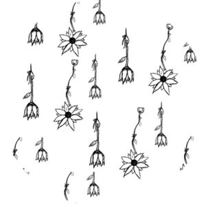 MUUI - A Tool to Deal with Everything [HERENOW57]