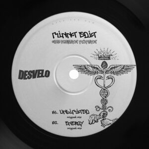 MiNNt Edit - The Present Moment EP [DSVLO012]