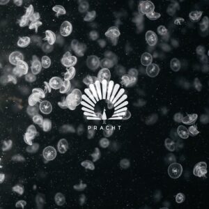 Oliver Schories, Bailey - Lotus [PRACHT15D]