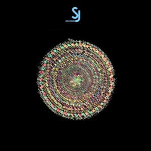 VA - 9 Years Secret Jams Records [SJRS0220]