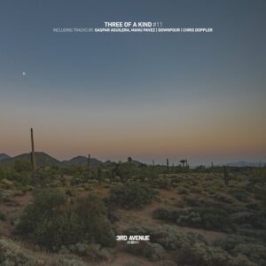 VA - Three of a Kind #11 [3AV299]