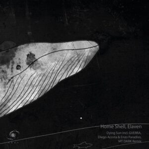 Home Shell, Elaven - Dying Sun Incl. GVERRA, Diego Acosta (UY) & Enzo Paradiso, MT DARK Remix [AR130]