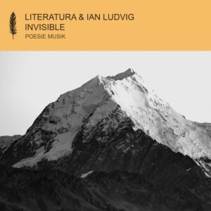 Ian Ludvig, Literatura - Invisible [POM165]