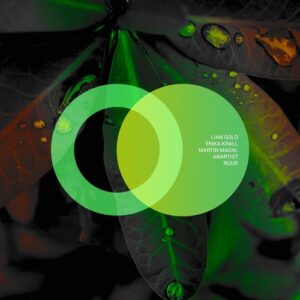 Lian Gold, Erika Krall - Nuur [AVE132]