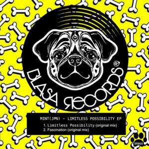 MINT (JPN) - Limitless Possibility EP [BR068]