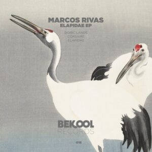Marcos Rivas - Elapidae [BKR016]