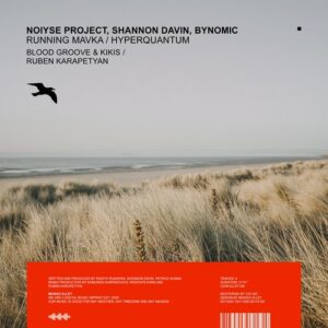 NOIYSE PROJECT, Shannon Davin, Bynomic - Running Mavka / Hyperquantum [ALLEY184]