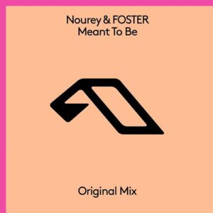 Nourey & Foster - Meant To Be [ANJ802D]