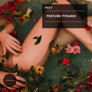 Peet - Perfume Pyramid [DYN123]