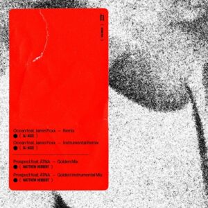 Solomun, Jamie Foxx, Atna - Nobody Is Not Loved, Remixes, Pt. 2 [4050538815917]