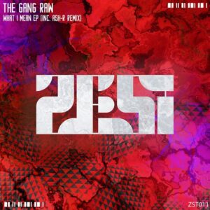 The Gang Raw - What I Mean EP [ZST011]