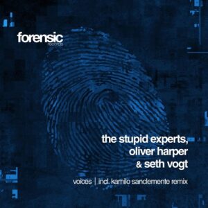 The Stupid Experts, Oliver Harper, Seth Vogt - Voices [FOR2009]
