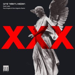 Amir Telem, HEIZEN (ISR) - Dark Lake [PILLAR030]