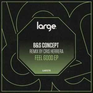 B&S Concept - Set You Free [LAR378]