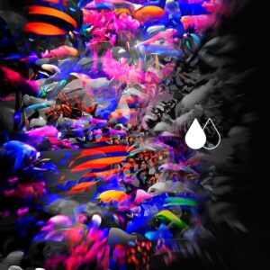 Carlos Zypin - Cousteau [AYS158]