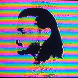 Eagles & Butterflies - P.H.A.S.E.R. [PERMVAC2691]