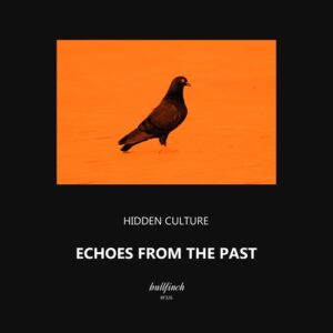 Hidden Culture - Echoes From the Past [BF326]