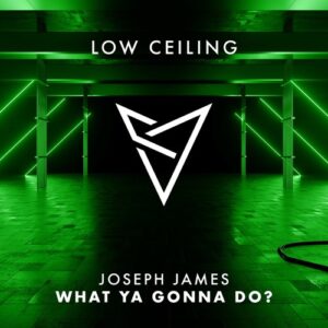 JOSEPH JAMES (IRL) - WHAT YA GONNA DO [LOWC098]
