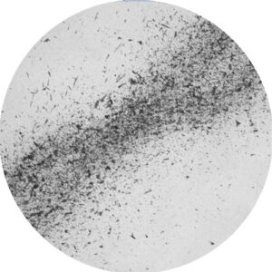 MUUI - Matter and Interactions [HERENOW60]
