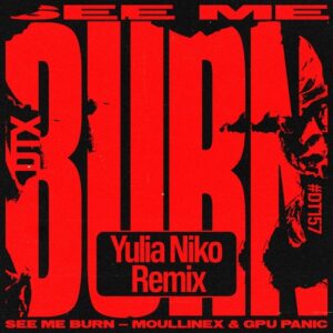 Moullinex, GPU Panic - See Me Burn (Yulia Niko Remix) [DT157R]
