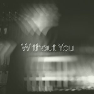 Tigerskin - Without You EP [FF034]
