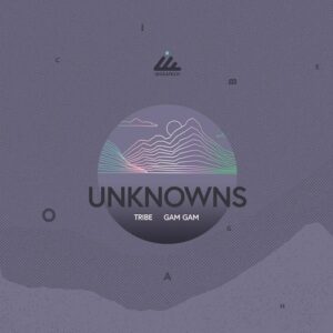 Unknowns - Tribe / Gam Gam [IBOGATECH138B]