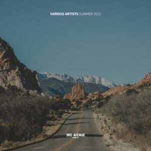 VA - Best of 3rd Avenue | Summer 2022 [3AV062LP]