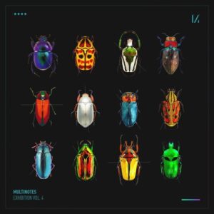 VA - Exhibition, Vol. 4 [MULTINOTES42]