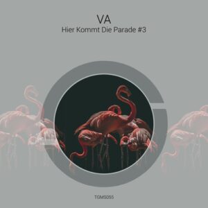 VA - Hier Kommt Die Parade #3 [TGMS055]
