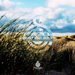 VA - Vibrant Vibeland #19 [ST345]