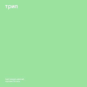 Vladimir Dubyshkin - The Botox Queen [TRP039]