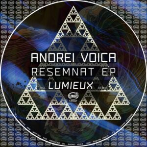 Andrei Voica - Resemnat EP [TZH167]
