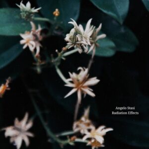Angelo Stasi - Radiation Effects [EDITSELECT141D]