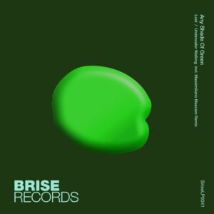 Any Shade Of Green - Lost / Underwater Walking [BRISELP0041]