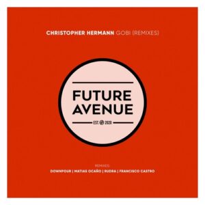 Christopher Hermann - Gobi (Remixes) [FA208]