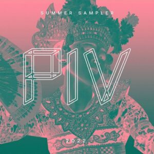 Demarzo, DJOKO, M-High - PIV Summer Sampler 2022, Pt. 1 [PIVVA02P1]
