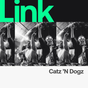 LINK Artist | Catz 'n Dogz - Reach Chart