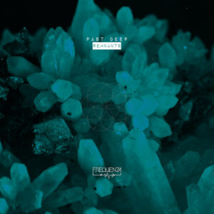 Past Deep - Remnants [FREQ2224]